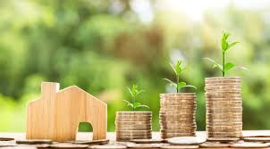 Beginner’s Guide to Investing